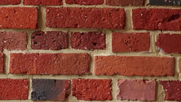 Brick wall - Footage, Video