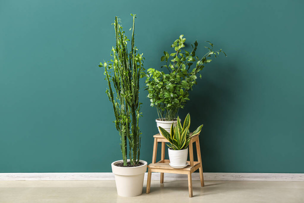Trap kruk met kamerplanten in de buurt van groene muur - Foto, afbeelding
