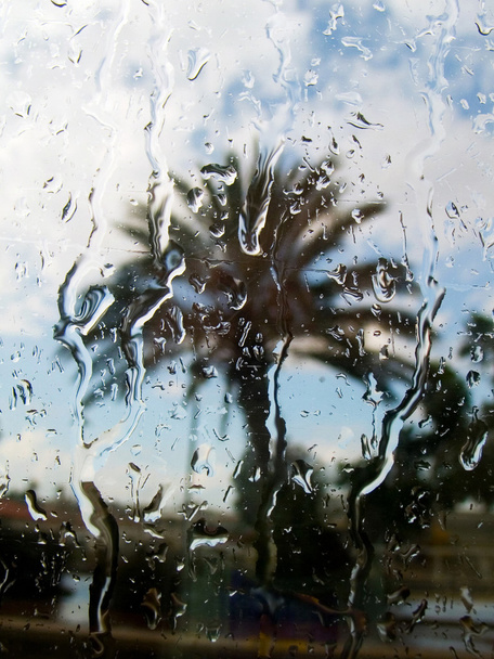 βροχή πίσω από ένα παράθυρο - Φωτογραφία, εικόνα
