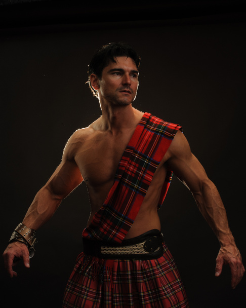 Highlander quente
 - Foto, Imagem