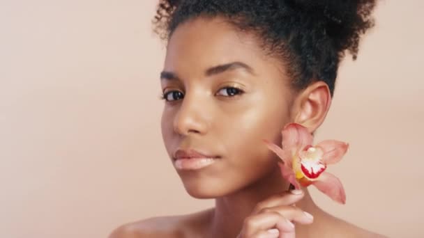 Gesicht, Blume und schwarze Frau mit Kosmetik, natürlicher Schönheit und gesunder Haut. Afroamerikanerin, Mädchen und Pflanze zur Gesichtsentgiftung, Gesichts- und Hautpflege für glattes Make-up, auf Studiohintergrund - Filmmaterial, Video