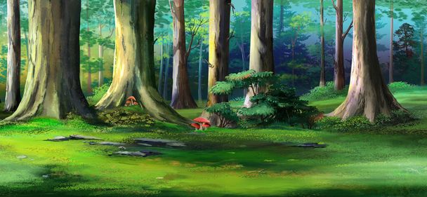 Árboles en un bosque en un día soleado de verano. Fondo de pintura digital, Ilustración. - Foto, Imagen