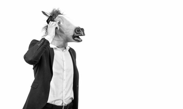 Businessman in horse head and business suit talk on mobile phone isolated on white copy space, communication. - Photo, Image
