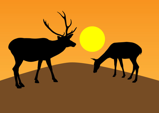 Hirsche bei Sonnenuntergang - Vektor, Bild