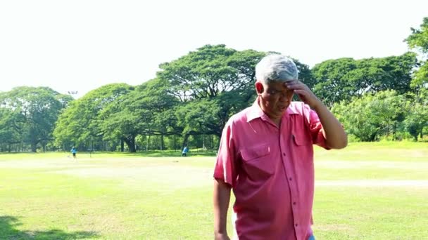 Asian elderly man walking outdoor lawn syour hands from the bright sunlight during the day. feeling unbearable in the hot weather and fainting, dizzy, he hurriedly walked into the shade of the trees. - Footage, Video