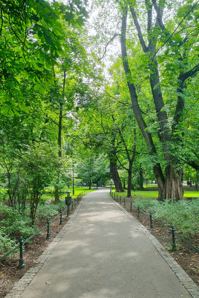 View of the green park. Beautiful trail for relaxation - Photo, Image