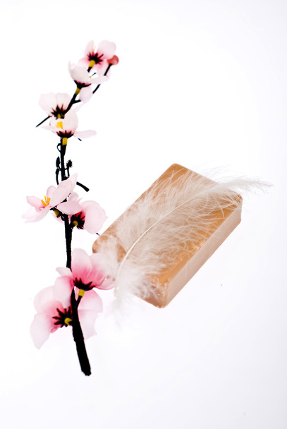 zeep met feaher en bloem - Foto, afbeelding