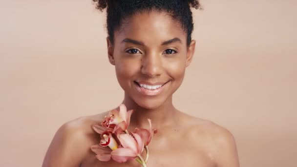 Черная женщина, лицо и цветок в косметике, гипнозе или естественной обработке на фоне студии. Портретная улыбка афроамериканской женщины, держащей растение в органическом уходе за идеальной кожей. - Кадры, видео
