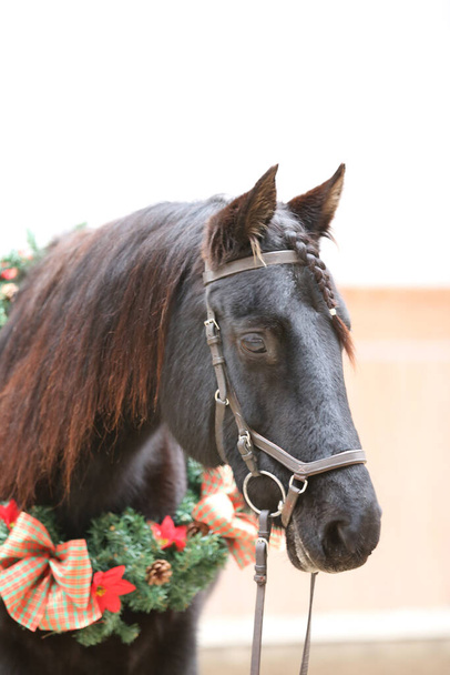 Unikalne zdjęcie konia siodła podczas noszenia pięknej dekoracji wieńcowej jako emocjonalnego tła Bożego Narodzenia - Zdjęcie, obraz