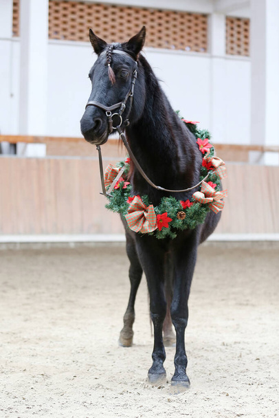 Ainutlaatuinen kuva satula hevonen yllään kaunis seppele koristelu emotionaalinen joulu tausta - Valokuva, kuva