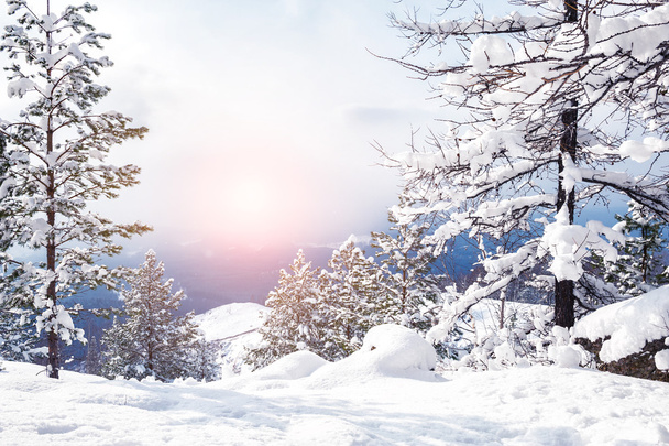 Beautiful winter landscape - Foto, immagini