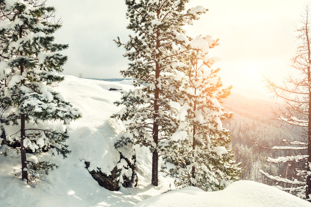 Beautiful winter landscape - 写真・画像