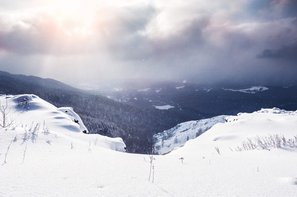 Beautiful winter landscape - Fotografie, Obrázek