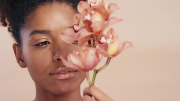 Musta nainen, kasvojen tai ihon hehkua kukkia vaaleanpunainen studio tausta orgaaninen ihotautioppi, vegaani kosmetiikka tai itserakkautta. Zoom, kauneus malli tai kasvojen meikki orkideat kasveja luonnon hyvinvointi. - Materiaali, video