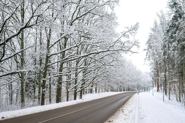 Karlı bir kış gününde yol, kış, yolda kar, kışın araba sürmek. Dikkati dağılmış. Yüksek kalite fotoğraf - Fotoğraf, Görsel