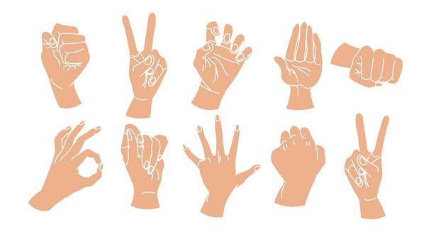 Een stel getrokken mensenhanden. Een set handen in een verzameling van verschillende gebaren. illustratie, vector - Vector, afbeelding