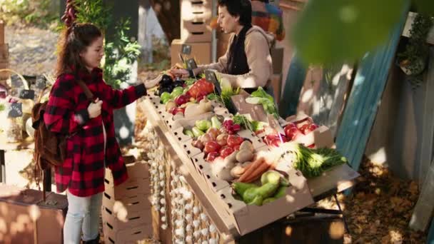 Ευτυχής ιδιοκτήτης επιχείρησης που πουλάει βιολογικά μήλα στον πελάτη, στέκεται πίσω από την καλλιέργεια παράγει μετρητή. Τοπικός αγρότης που δείχνει φρούτα και λαχανικά στον καταναλωτή, υγιεινή διατροφή. - Πλάνα, βίντεο