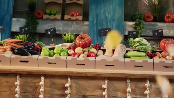 Öko hazai természetes étel és egészséges táplálkozás. Friss érett zöld alma a termelői piacon. Kartondoboz tele helyi szezonális gyümölcsökkel és zöldségekkel a zöldpiac standján. Közelről.. - Felvétel, videó
