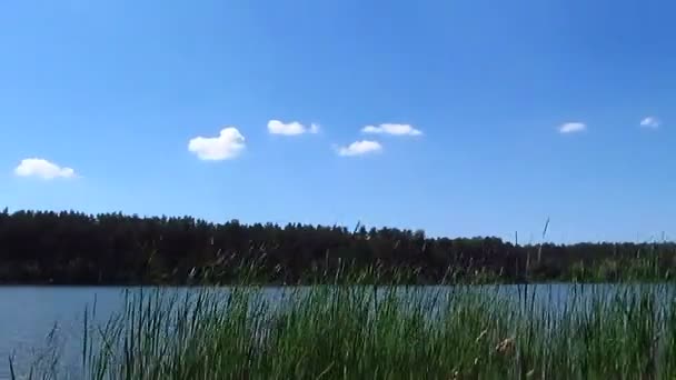川と空の雲。風景です。時間の経過 - 映像、動画