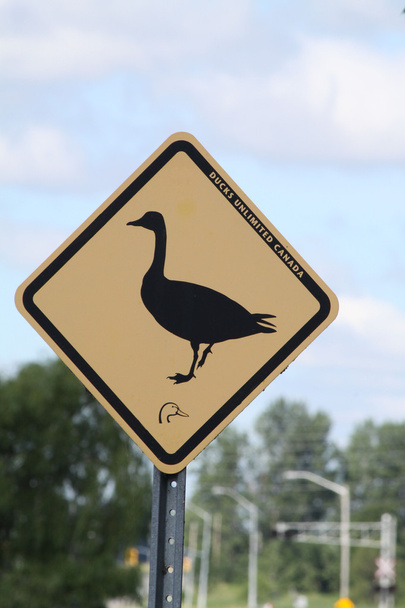 Geese Crossing Sign - Photo, Image