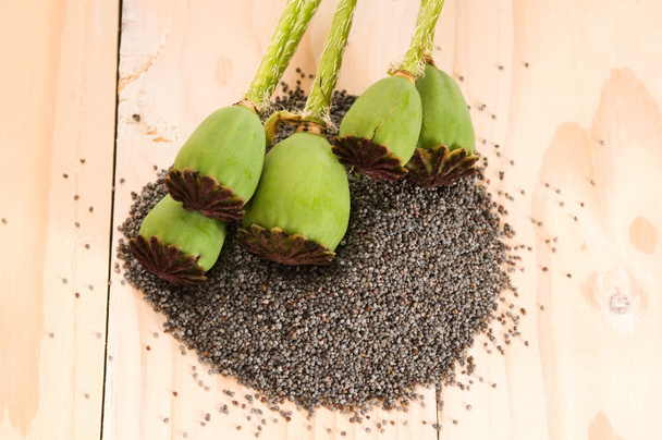 Макове насіння і макові голівки
 - Фото, зображення