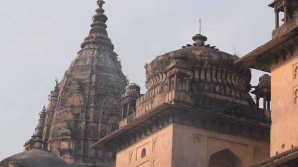 Vista matutina de los Cenotafios Reales Chhatris de Orchha, Madhya Pradesh, India, Orchha la ciudad perdida de la India, sitios arqueológicos indios - Metraje, vídeo