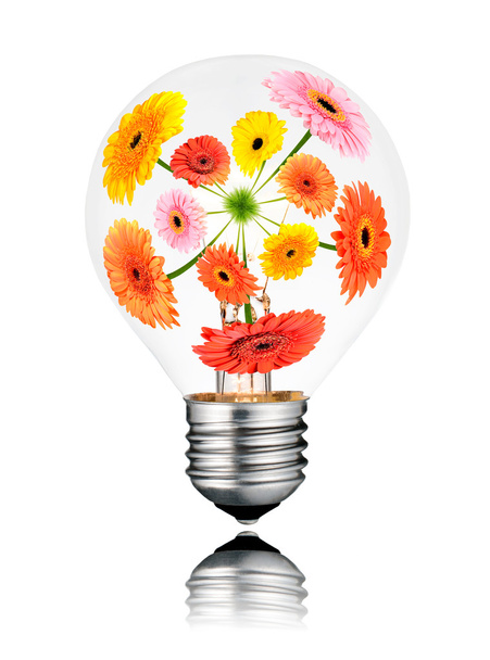 Λάμπα φωτός με λουλούδια που αυξάνεται μέσα απομονωμένες - Φωτογραφία, εικόνα