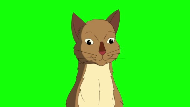 Red Tabby Cat meows chroma key HD. Handmade animated looped HD footage isolated on green screen - Footage, Video