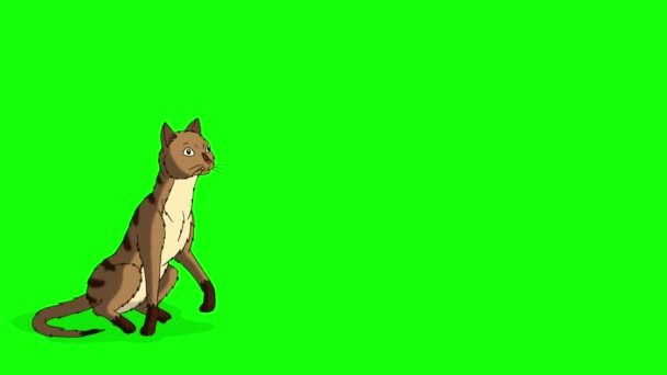 Red Tabby Cat se levanta y huye croma key HD. Imágenes HD animadas hechas a mano aisladas en pantalla verde - Metraje, vídeo