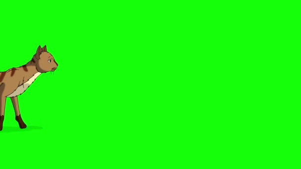 Red Tabby Cat comes and lies down chroma key HD. Handmade animated HD footage isolated on green screen - Footage, Video