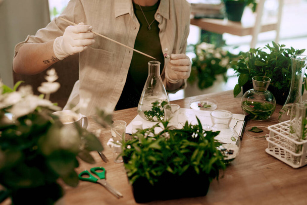 E 'stata impegnata a sperimentare tutto il giorno. un botanico irriconoscibile che sperimenta piante idroponiche nel suo ufficio - Foto, immagini
