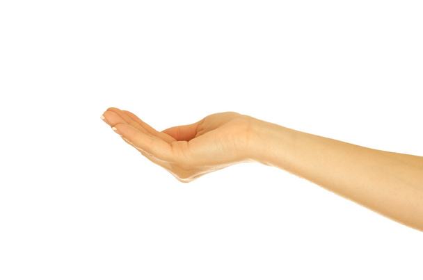 Main de femme tenant
 - Photo, image