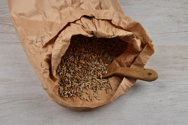 Grain in bag - Фото, изображение