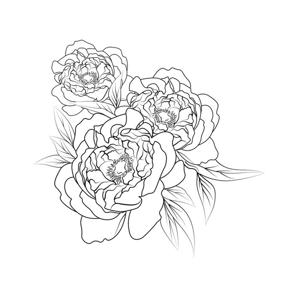 handgetekende pioen, bloem illustratie met bladeren. vectorschets voor een tatoeage. - Vector, afbeelding