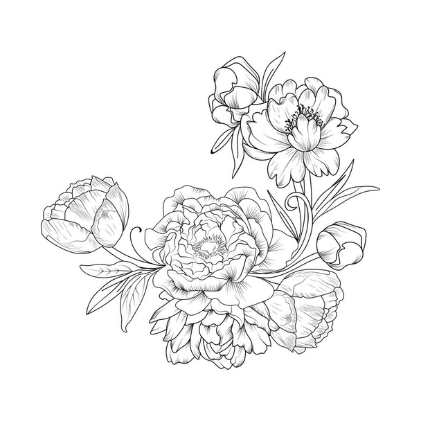 Őszibarack vonalművészet, virágvektor illusztráció. évjárat gravírozott stílusú virágok bazsarózsa izolált fehér. kézzel rajzolt botanikai virág. tinta - Vektor, kép