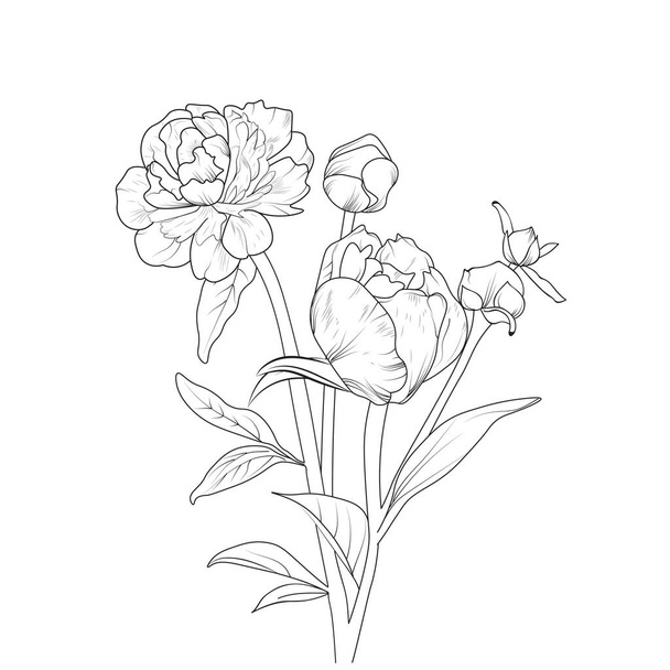 croquis vectoriel d'une belle fleur de pivoine avec des feuilles. dessin à la main. - Vecteur, image