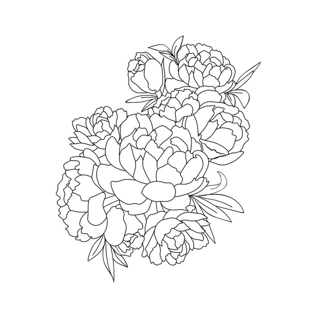 Könnyű vázlat, bazsarózsa virág vektor illusztráció, egy vázlat a virágokról. kézzel rajz bazsarózsa virágok, és csokrok elszigetelt fehér alapon. - Vektor, kép