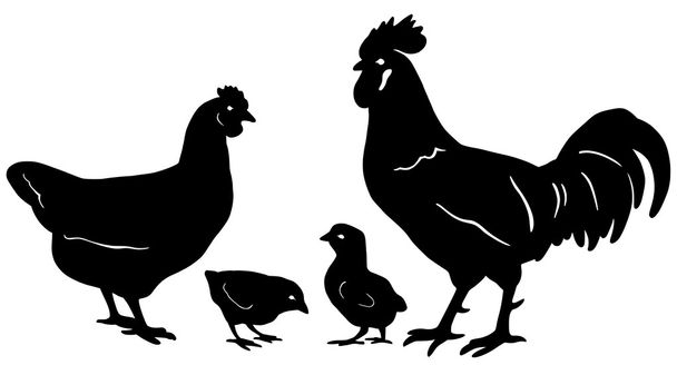 κοτόπουλο οικογένεια - Διάνυσμα, εικόνα