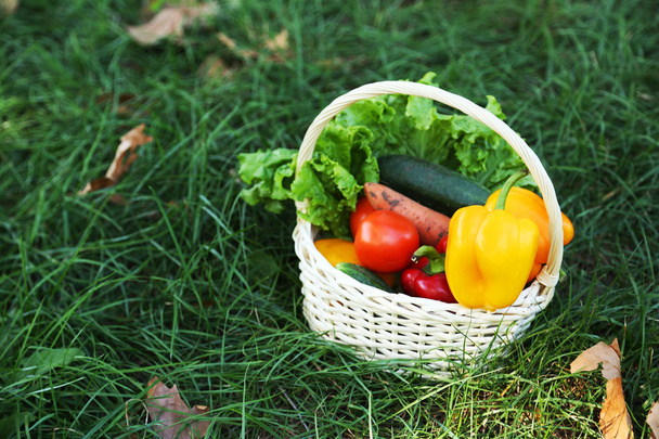 Fresh vegetables in basket - Zdjęcie, obraz