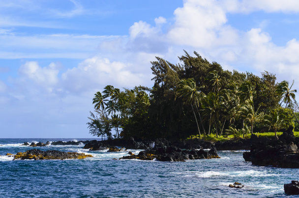Ανατολική Ακτή του Maui - Φωτογραφία, εικόνα