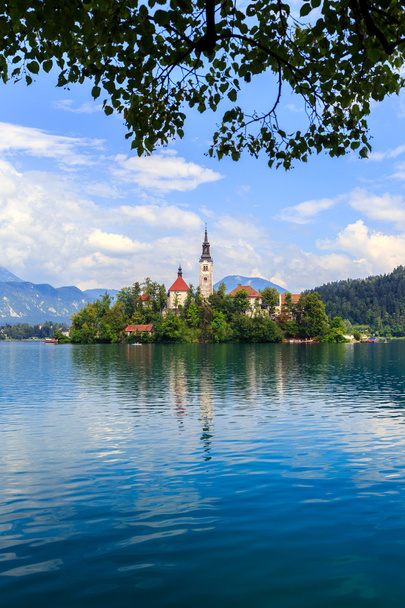 Met lake Bled - Foto, afbeelding