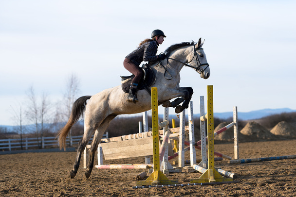 ló jumping verseny - Fotó, kép