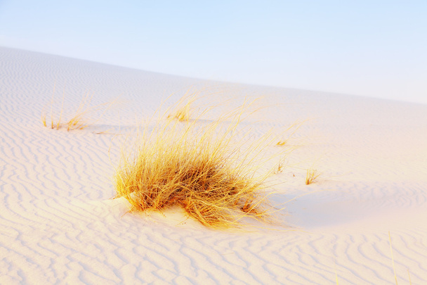 fehér homok - Fotó, kép