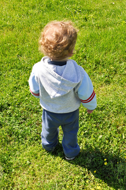 Rear view of a child - Photo, Image