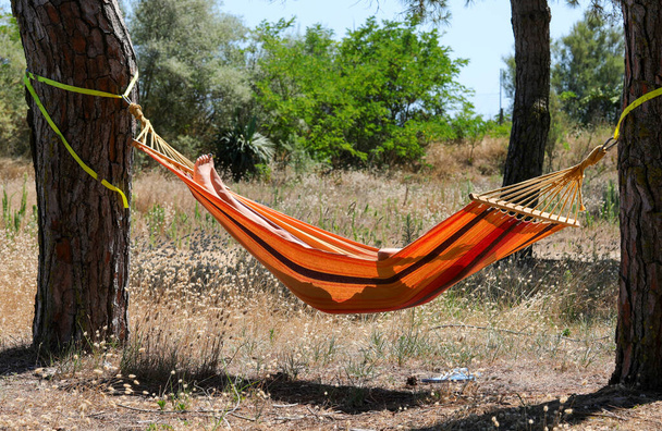 girl is resting in the hammock in the summer in the resort village in summer - Photo, Image