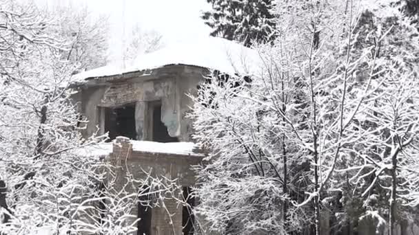 Зруйнований будинок в зимовому лісі
. - Кадри, відео