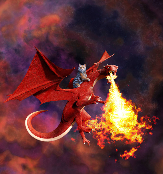Gato cabalgando sobre dragón y fondo con fuego - Foto, imagen