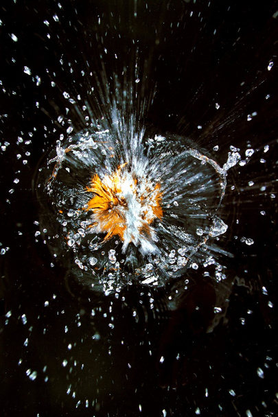 Arte abstracto - Naturaleza muerta - salpicaduras de agua
 - Foto, imagen