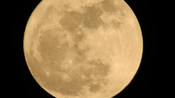 Una luna llena es la fase lunar que ocurre cuando la Luna está completamente iluminada como se ve desde la Tierra. Luna grande en su fase completa con cráteres detallados visibles en sus bordes, todo en un fondo negro, - Imágenes, Vídeo
