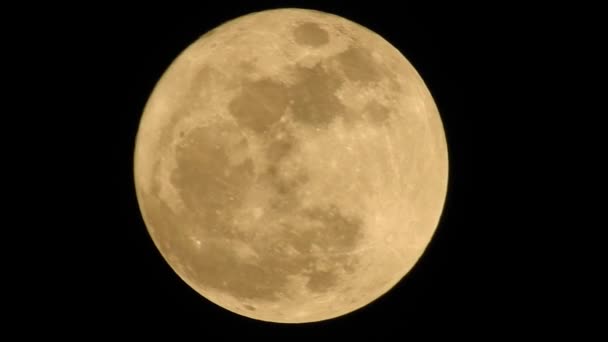 Een volle maan is de maanstand die optreedt wanneer de Maan volledig verlicht is gezien vanaf de Aarde. Grote maan in volle fase met gedetailleerde kraters zichtbaar aan de randen, allemaal in een zwarte achtergrond, - Video